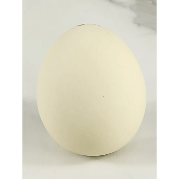 Paperweight Blue Jay Egg Bird Ceramic 2 3/4" Hand Painted Home Decor 90s Accent - Picture 5 of 12